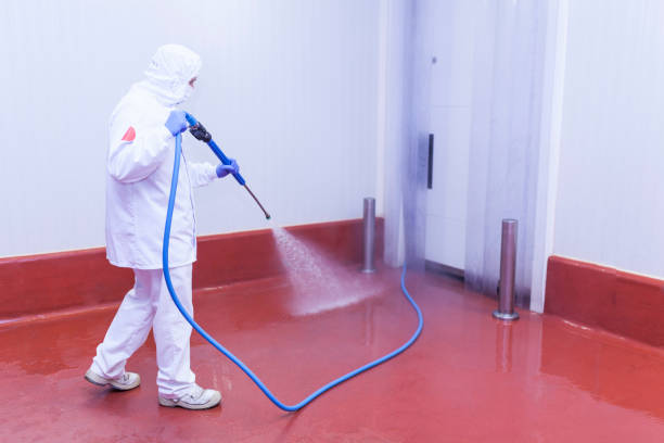 Best House Exterior Washing  in Mission Nyon, CA